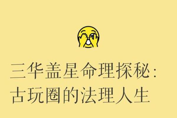 探索人生的五种命运:华盖之外的选择与勇气 探索人生的五种命运:华盖之外的选择与勇气
