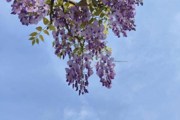 1997年正月二十:那一年春天的故事与回忆 1997年正月二十:那一年春天的故事与回忆