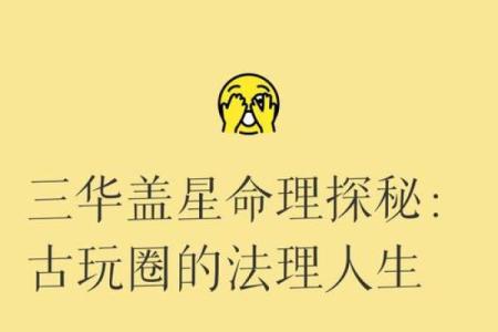 探索人生的五种命运：华盖之外的选择与勇气