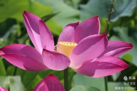 1997年正月二十：那一年春天的故事与回忆