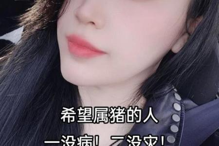 1983年属猪人的命运与性格分析：一生福祉的代表