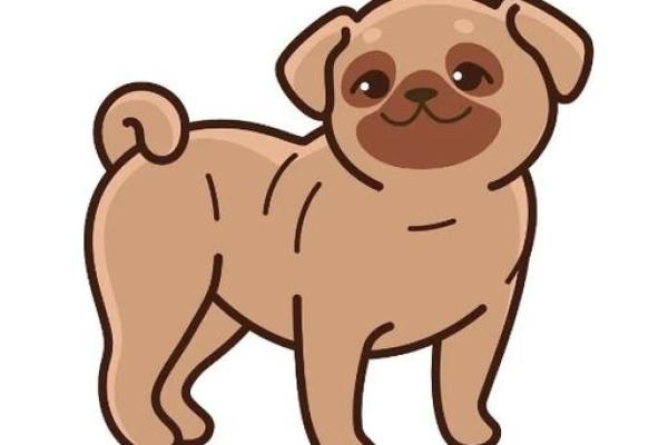 探秘2033年:属相与命运的神秘结合 探秘2033年:属相与命运的神秘结合