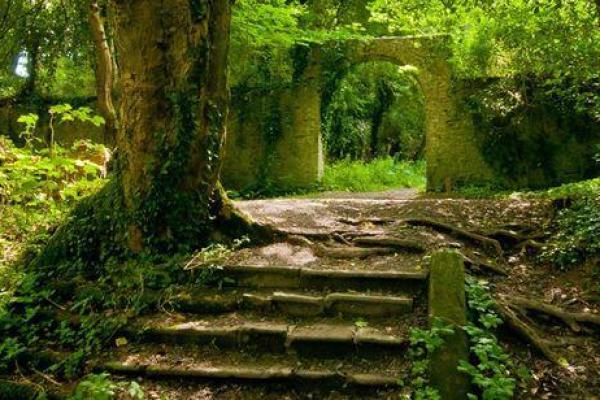 1971年8月:记忆中的那个夏天与不灭的勇气 1971年8月:记忆中的那个夏天与不灭的勇气