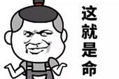 探索《什么命呀》的深刻内涵与情感表达