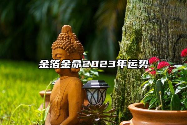 2023年金箔金命之人运势分析:需注意的五大要素与机遇 2023年金箔金命之人运势分析:需注意的五大要素与机遇