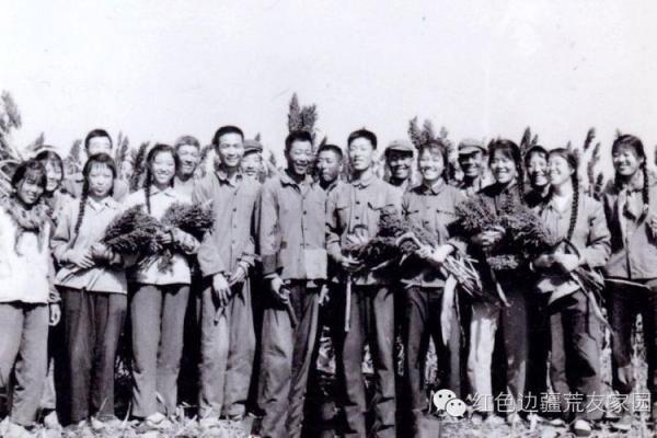 1971年:不平凡的一年与命运启示 1971年:不平凡的一年与命运启示