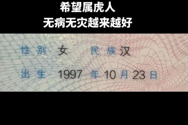 1998年出生的人属虎,命运解析与人生启示 1998年出生的人属虎,命运解析与人生启示