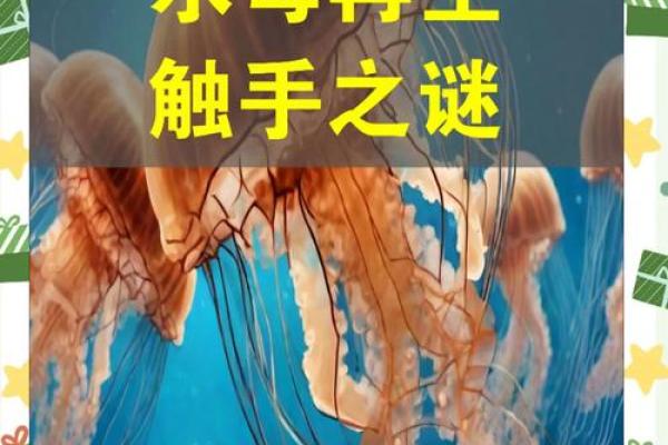 探秘大海水命:生水与命理的神奇链接 探秘大海水命:生水与命理的神奇链接
