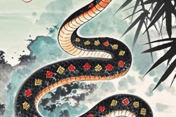 1977年出生的属蛇人:解密他们的性格与命运轨迹 1977年出生的属蛇人:解密他们的性格与命运轨迹