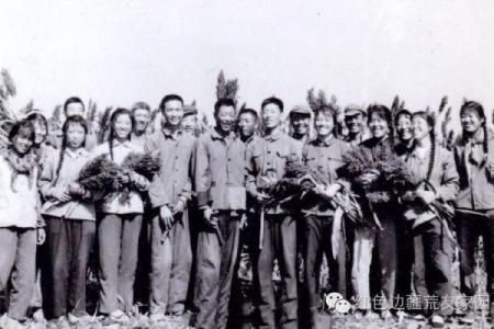 1971年：不平凡的一年与命运启示