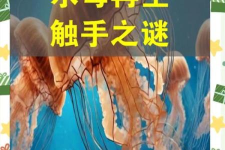 探秘大海水命：生水与命理的神奇链接