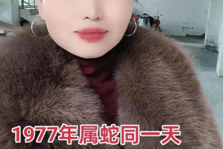 1977年出生的属蛇人：解密他们的性格与命运轨迹