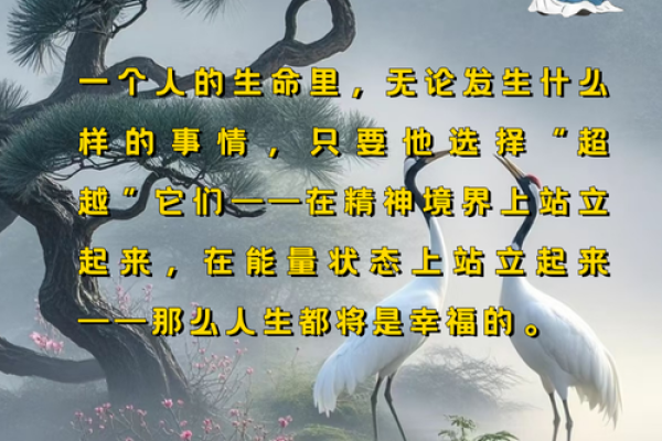 探索命运之路：从“我是什么命”看自己的人生方向