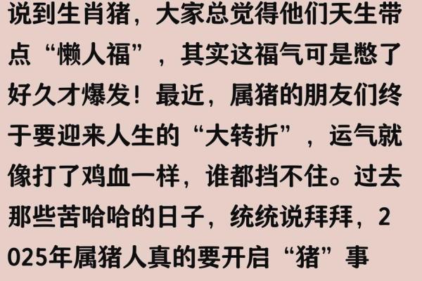 1972年出生的猪命:解析其性格、运势与人生的精彩旅程 1972年出生的猪命:解析其性格、运势与人生的精彩旅程