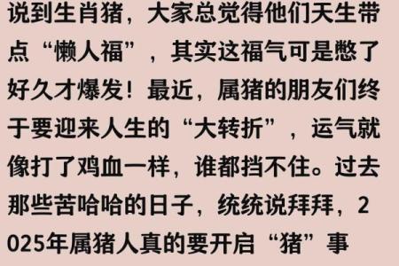 1972年出生的猪命：解析其性格、运势与人生的精彩旅程