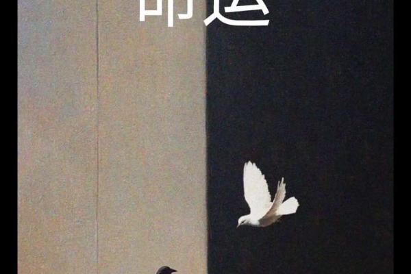 1977年命女的命运:探索智慧与魅力的完美结合 1977年命女的命运:探索智慧与魅力的完美结合