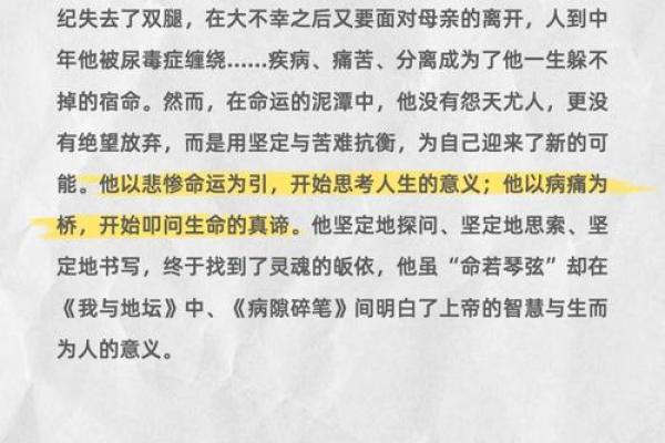 探索亡命与先命：生存的哲学与选择