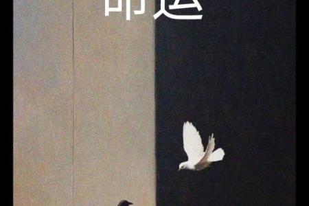 1977年命女的命运：探索智慧与魅力的完美结合