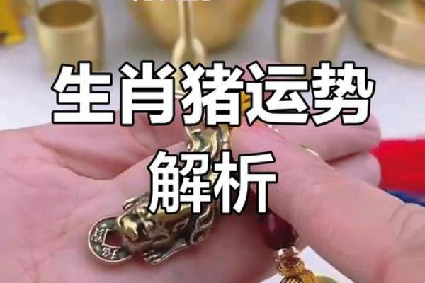 2007年出生的猪:揭示木命的独特魅力与运势 2007年出生的猪:揭示木命的独特魅力与运势