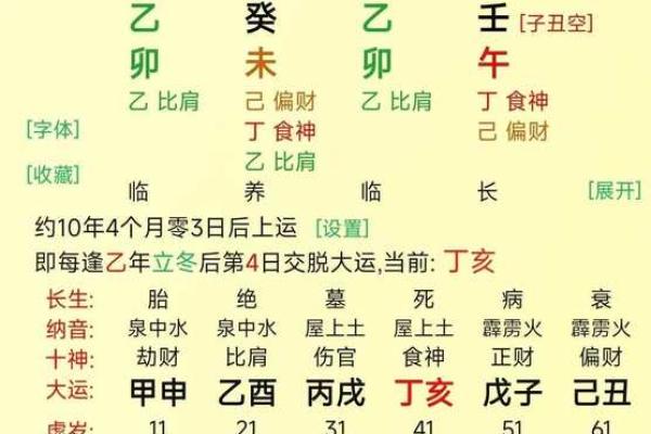 2009年是属于什么木命?解密命理的奥秘与智慧 2009年是属于什么木命?解密命理的奥秘与智慧