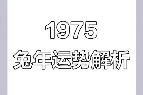探索1965年属兔人的命理:性格、运势与人生之旅 探索1965年属兔人的命理:性格、运势与人生之旅