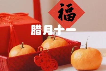 2019年腊月十三的神秘寓意与传统习俗探讨