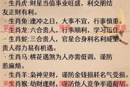 探索1965年属兔人的命理：性格、运势与人生之旅