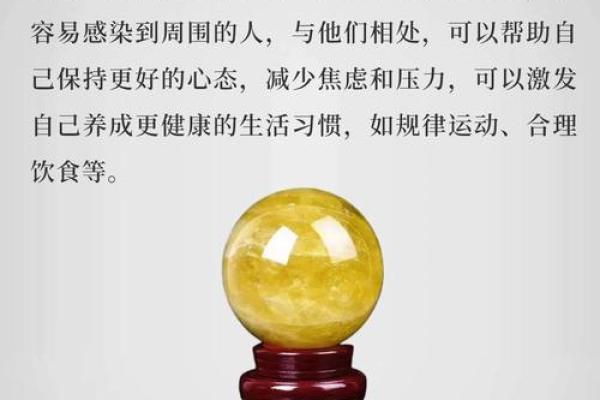 2019年属什么命?探索命理与缺失之道,让你在新的一年中更聪明选择! 2019年属什么命?探索命理与缺失之道,让你在新的一年中更聪明选择!