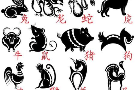 1975年免是什么命：探秘生肖的奥秘与生活启示