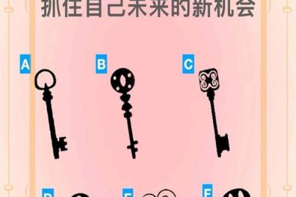 2017年属鸡人的命运解析:揭开你未来的神秘面纱 2017年属鸡人的命运解析:揭开你未来的神秘面纱