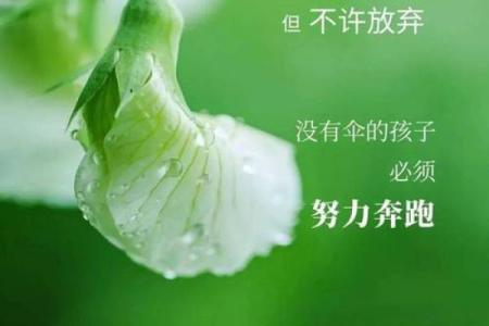 2018年出生的鸡宝宝命理解析：如何引导他们走向幸运人生？