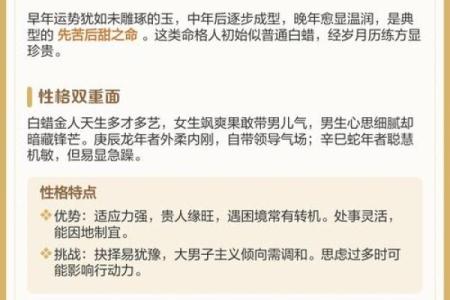 2000龙年出生的金命人：命理解析与生活指导