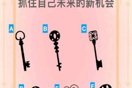 2017年属鸡人的命运解析：揭开你未来的神秘面纱