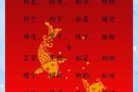 探索木命之美：如何为木命取一个寓意深远的名字