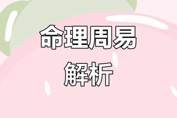 1995年出生的属什么命?解读命运背后的秘密与机遇 1995年出生的属什么命?解读命运背后的秘密与机遇