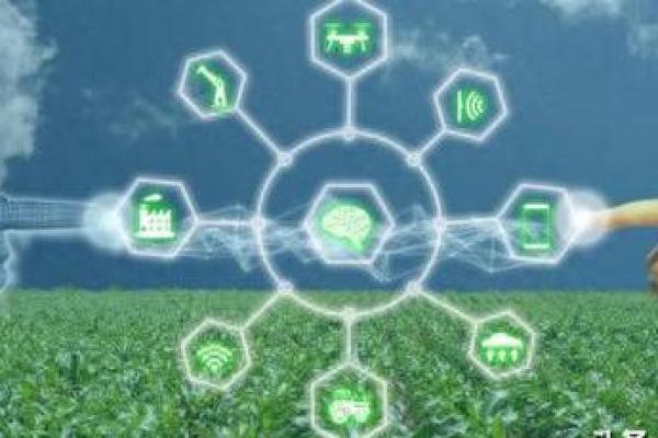 1970年出生的命格解析:命运之旅的奥秘与机遇 1970年出生的命格解析:命运之旅的奥秘与机遇