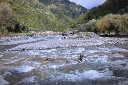 2002年出生宝宝命理揭秘：珍贵的水马年与人生风光