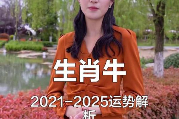 2021年牛年出生的人:不同命运与独特性格的探讨 2021年牛年出生的人:不同命运与独特性格的探讨
