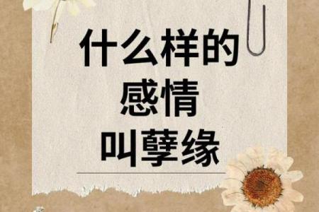 探秘命格中的一夫命：一生的情感与缘分之路