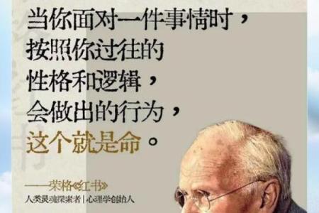 探索人生的四种命运：甲乙丙丁的魅力与启示