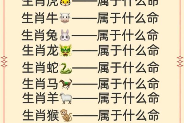 1971年出生的命运解析:属于什么生肖,适合怎样的人生道路? 1971年出生的命运解析:属于什么生肖,适合怎样的人生道路?