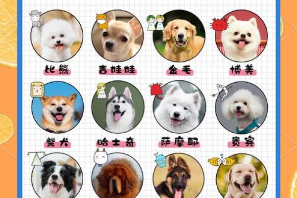 探究羊刃格女命与合适男命的完美配对指南 探究羊刃格女命与合适男命的完美配对指南