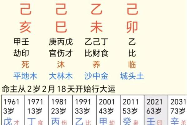 男命伤官与女命偏财的八字解析:爱情与财富的奇妙结合 男命伤官与女命偏财的八字解析:爱情与财富的奇妙结合