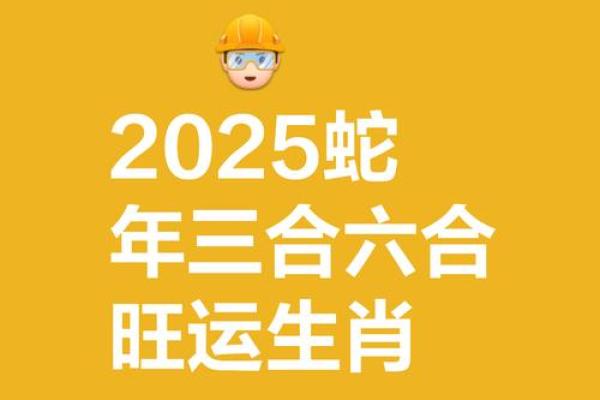 2023年命理揭秘:如何根据属相选择吉祥名字 2023年命理揭秘:如何根据属相选择吉祥名字