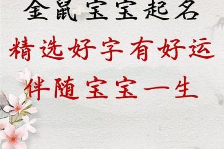 鼠年宝宝命运解析：你的孩子会拥有什么样的未来？