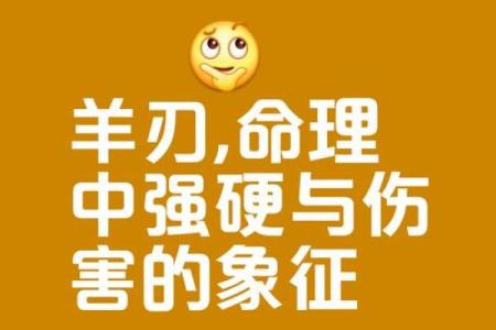 探究羊刃格女命与合适男命的完美配对指南