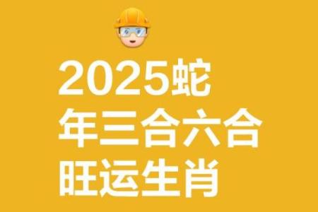 2023年命理揭秘：如何根据属相选择吉祥名字