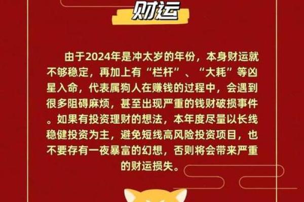 属狗命理解析:2023年最佳选择与发展方向 属狗命理解析:2023年最佳选择与发展方向