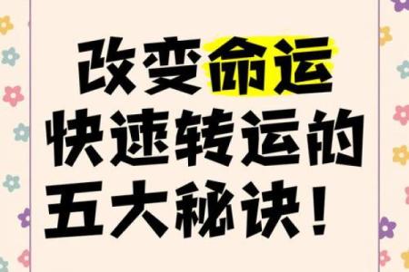 如何利用物品转运，不再被“命运”所困扰！