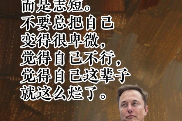 拼过命判过心:在生活的逆境中寻找自我重生的力量 拼过命判过心:在生活的逆境中寻找自我重生的力量